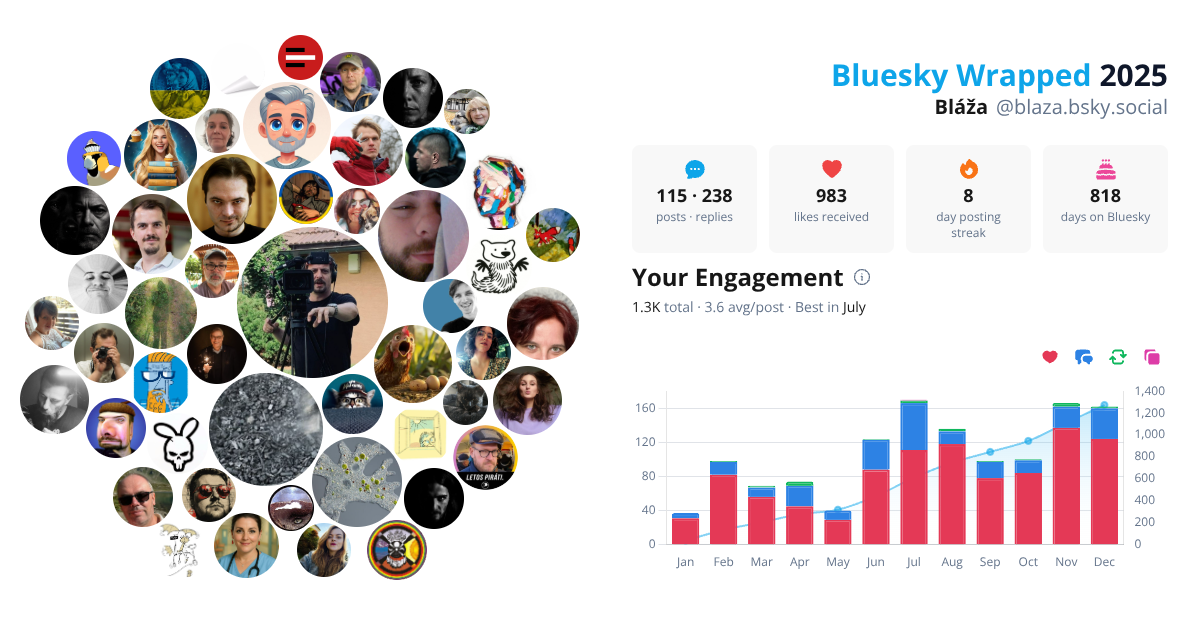 Your Bluesky Wrapped 2025 preview