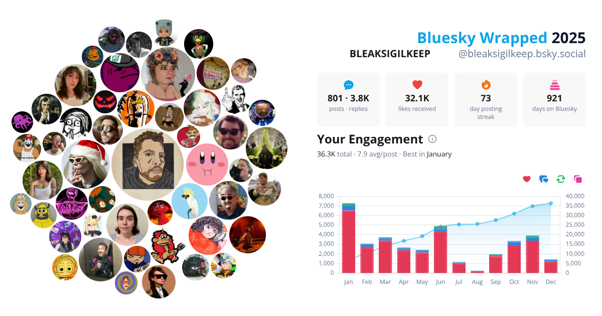 Your Bluesky Wrapped 2025 preview