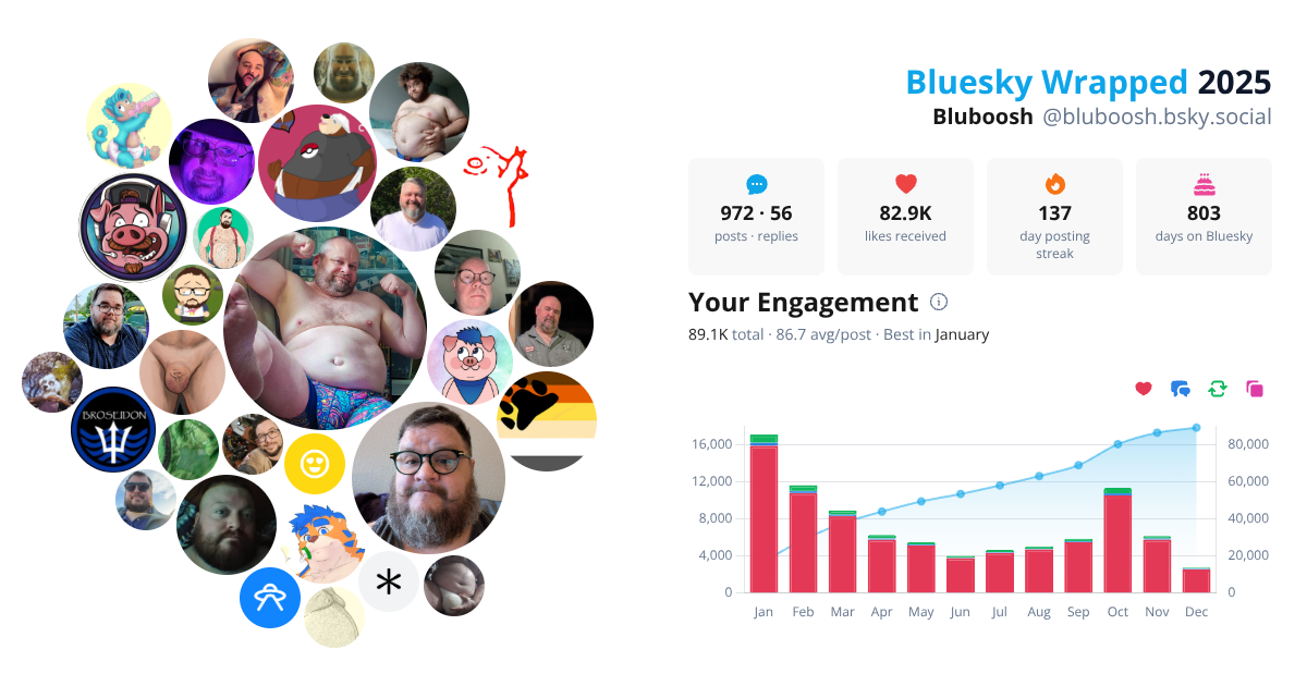 Your Bluesky Wrapped 2025 preview