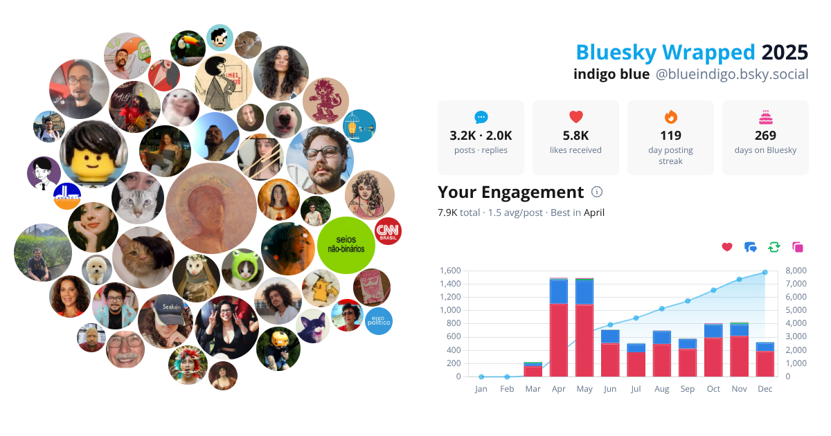 Your Bluesky Wrapped 2025 preview