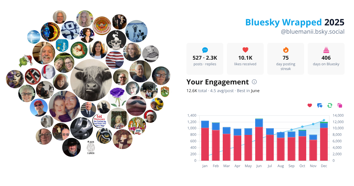 Your Bluesky Wrapped 2025 preview