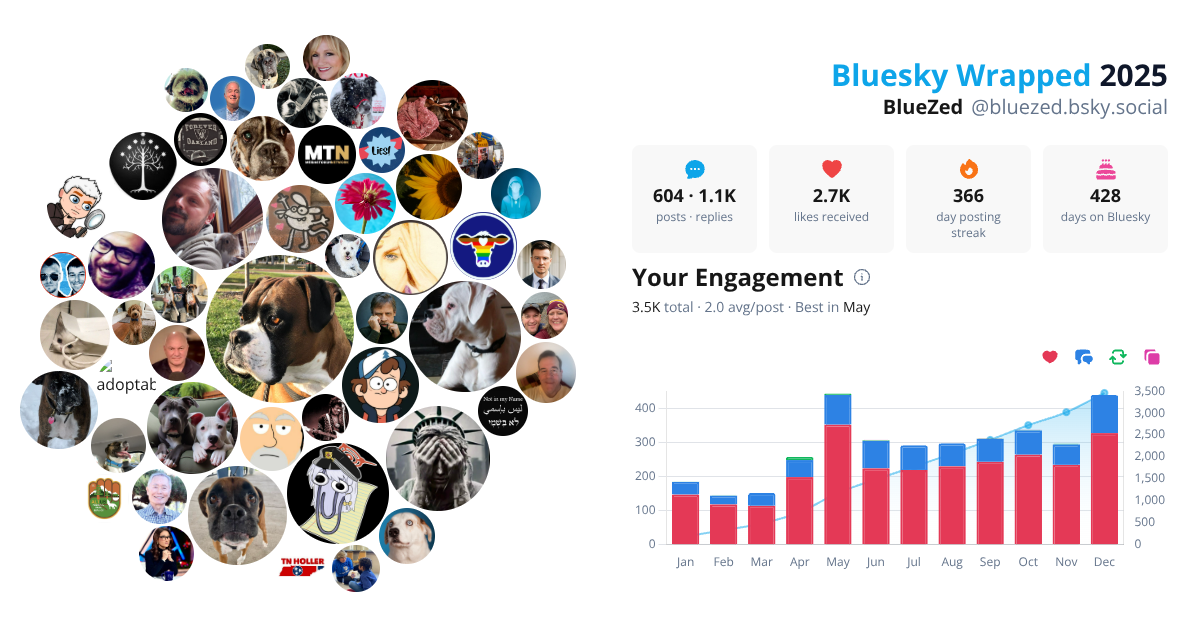 Your Bluesky Wrapped 2025 preview
