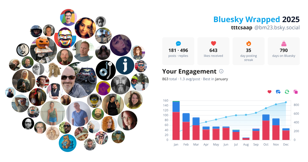 Your Bluesky Wrapped 2025 preview
