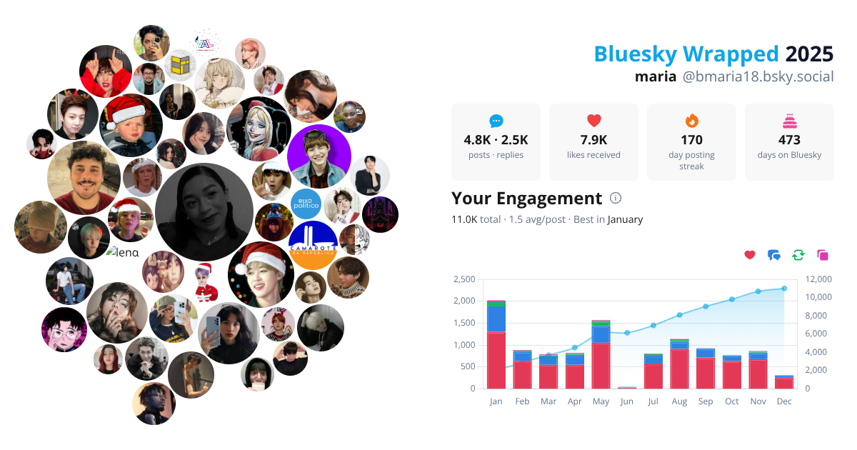 Your Bluesky Wrapped 2025 preview