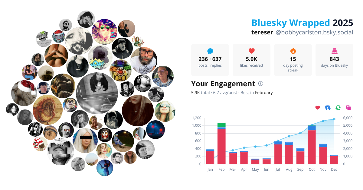 Your Bluesky Wrapped 2025 preview