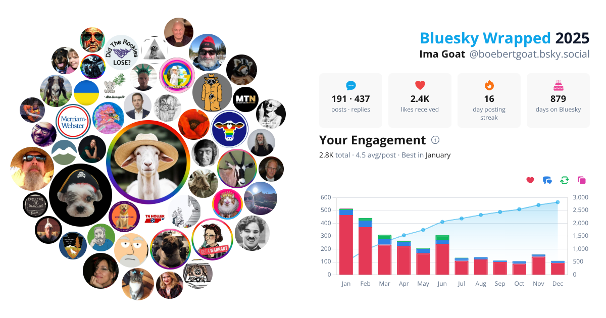 Your Bluesky Wrapped 2025 preview