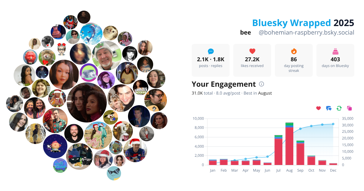 Your Bluesky Wrapped 2025 preview
