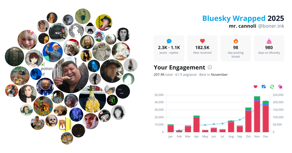 Your Bluesky Wrapped 2025 preview