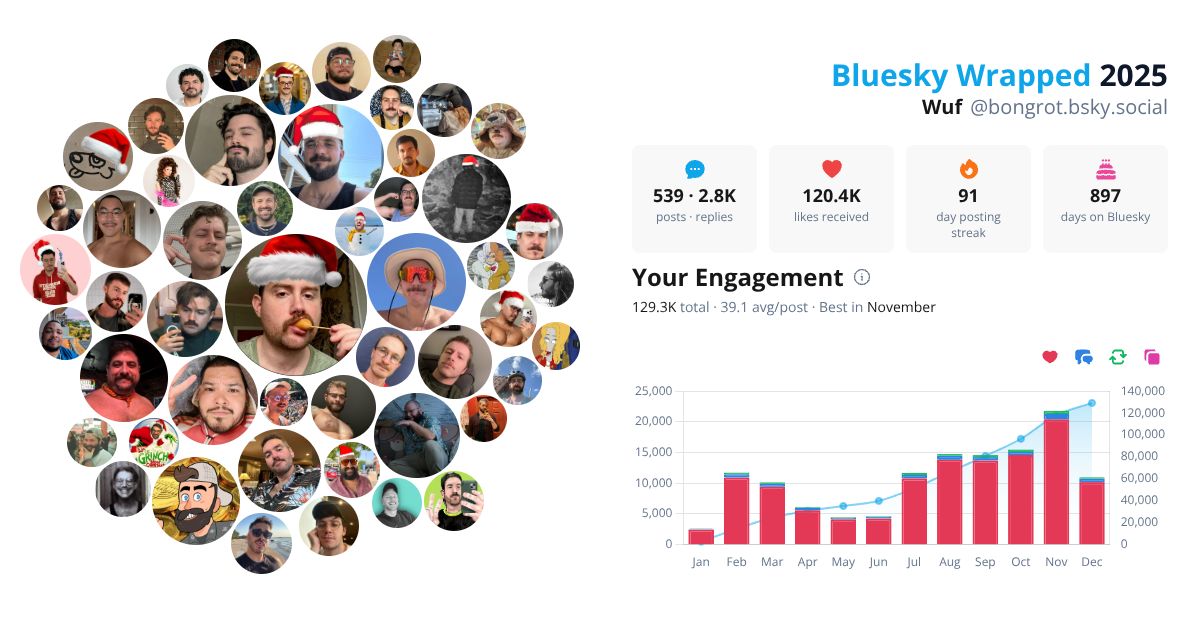 Your Bluesky Wrapped 2025 preview