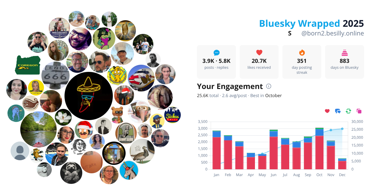 Your Bluesky Wrapped 2025 preview
