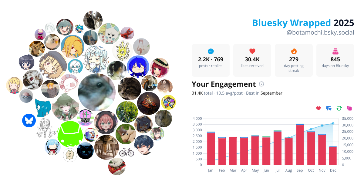 Your Bluesky Wrapped 2025 preview