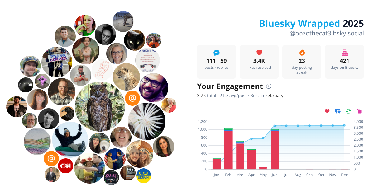 Your Bluesky Wrapped 2025 preview