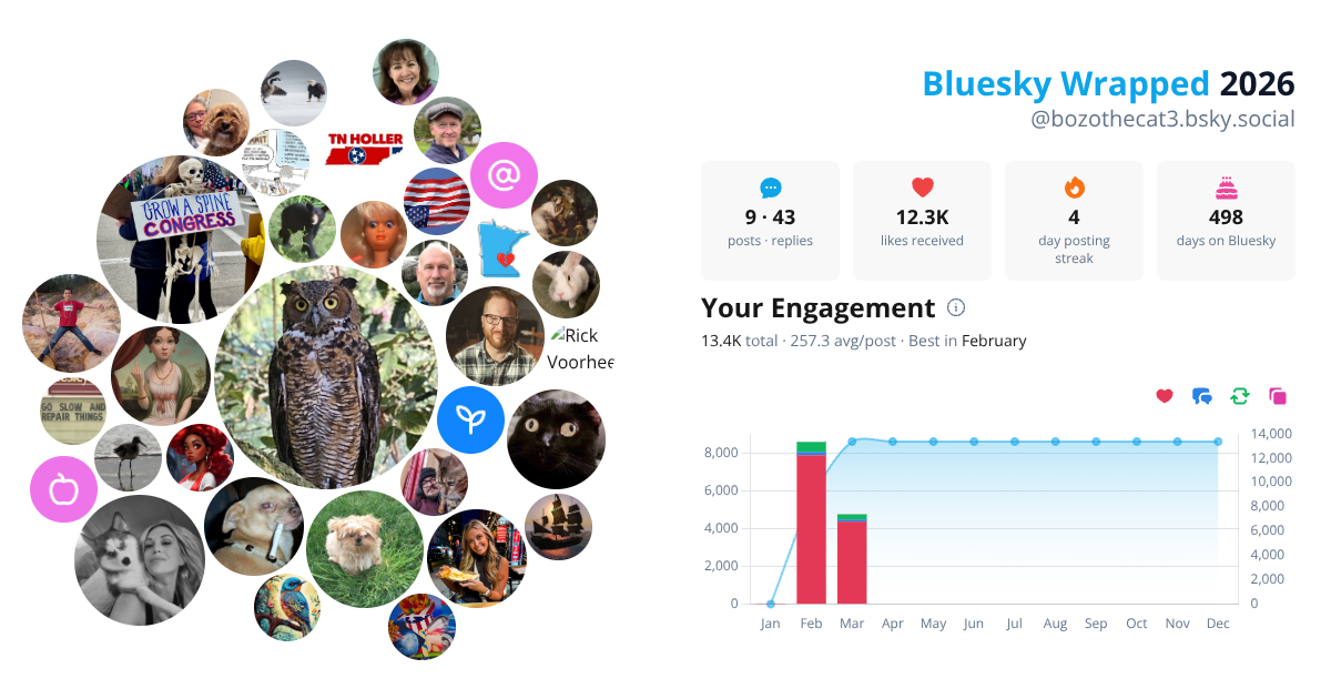 Your Bluesky Wrapped 2026 preview