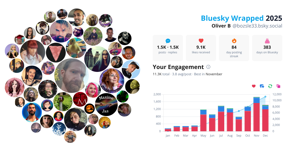 Your Bluesky Wrapped 2025 preview
