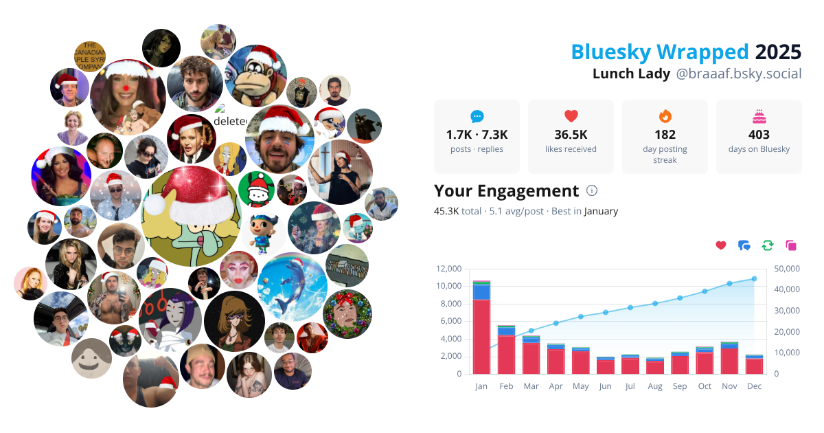 Your Bluesky Wrapped 2025 preview