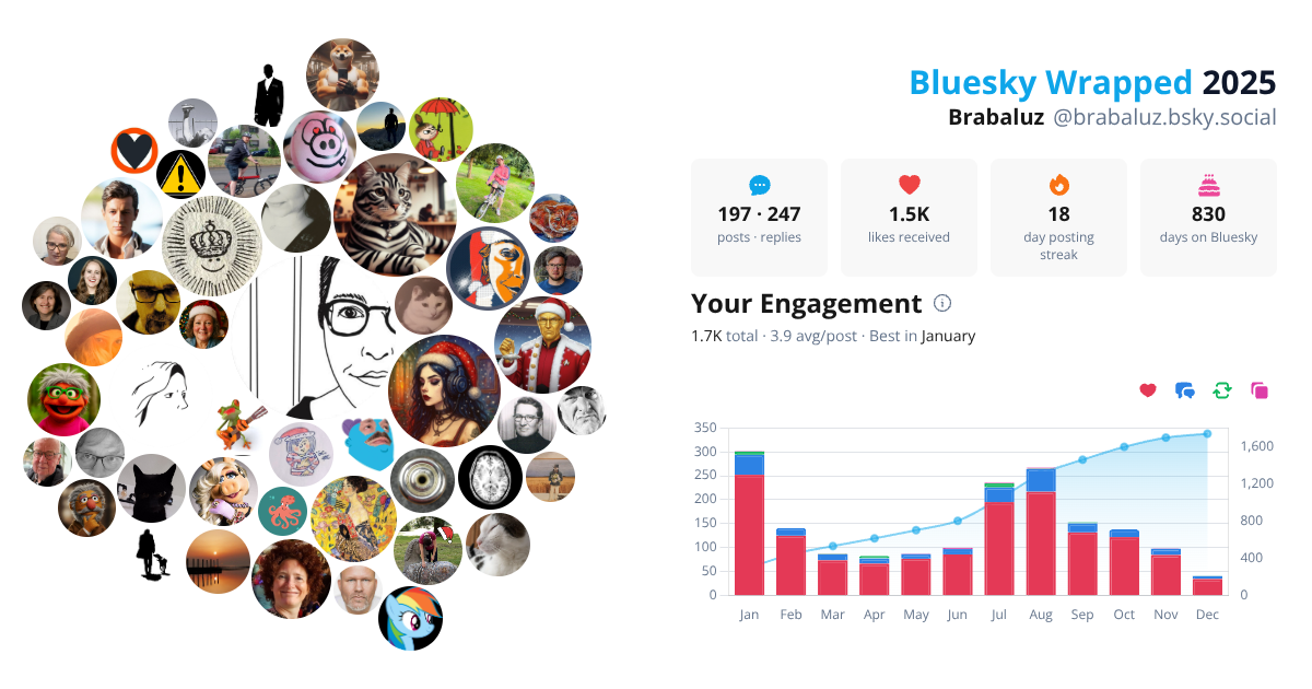 Your Bluesky Wrapped 2025 preview