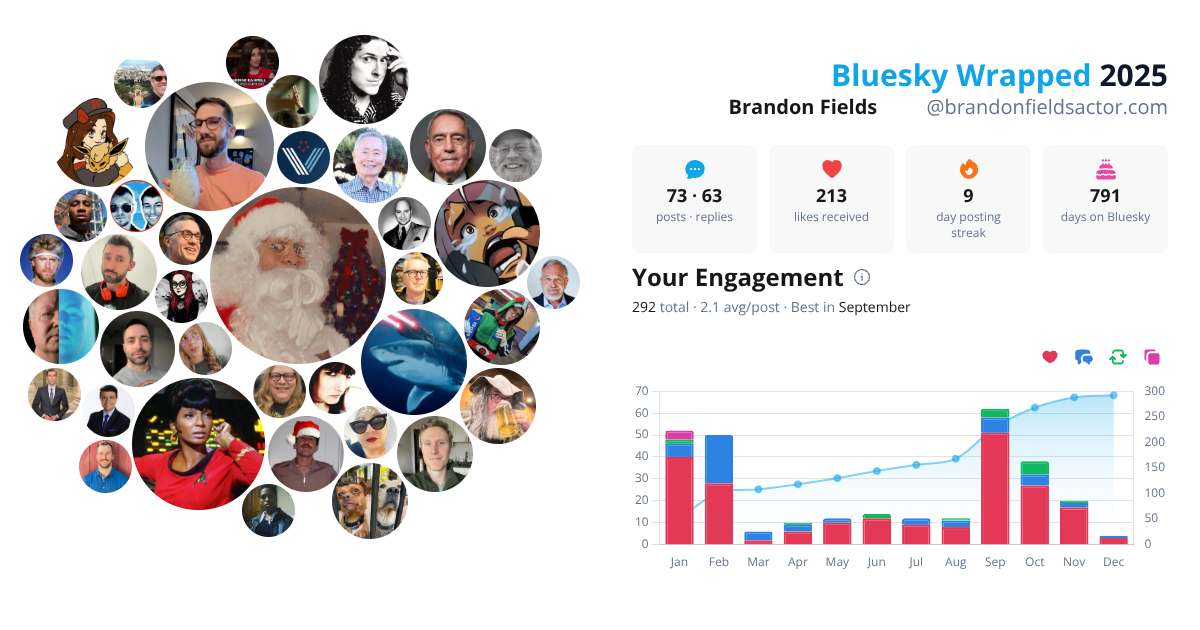 Your Bluesky Wrapped 2025 preview