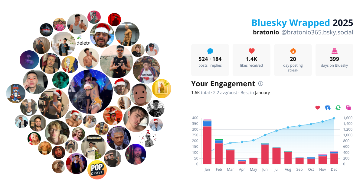 Your Bluesky Wrapped 2025 preview