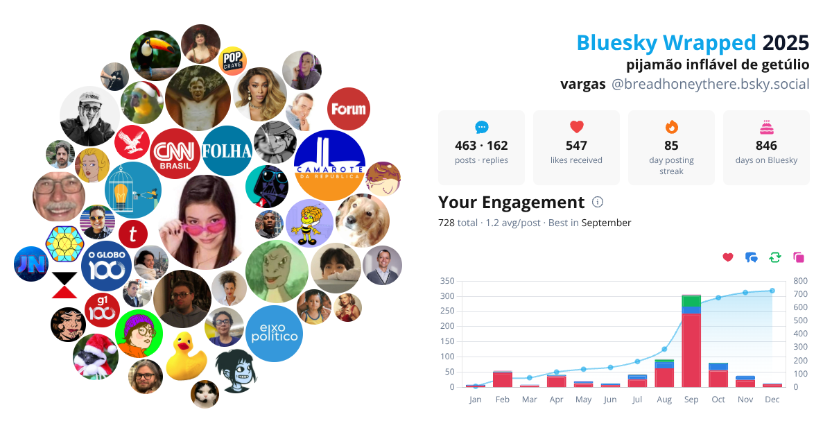 Your Bluesky Wrapped 2025 preview