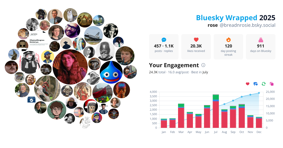 Your Bluesky Wrapped 2025 preview