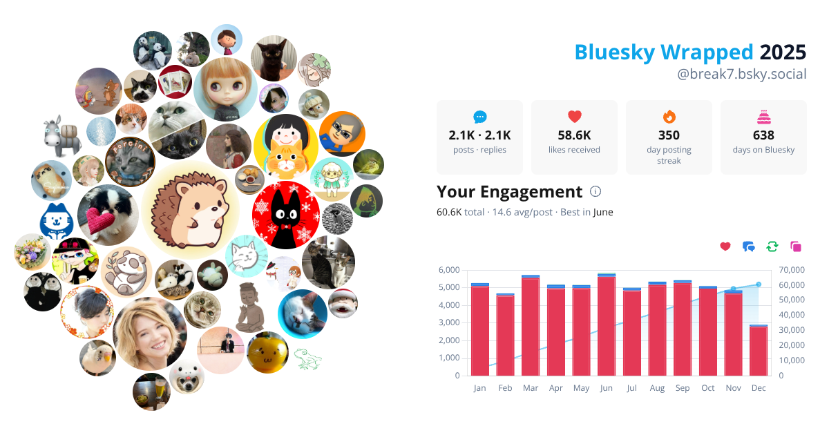 Your Bluesky Wrapped 2025 preview