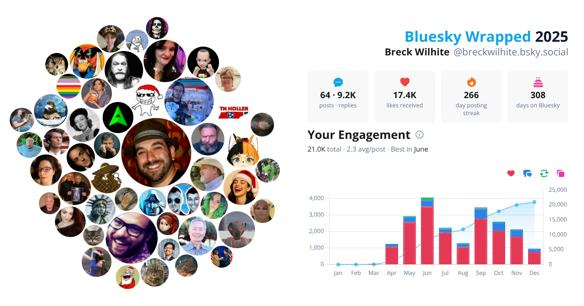 Your Bluesky Wrapped 2025 preview