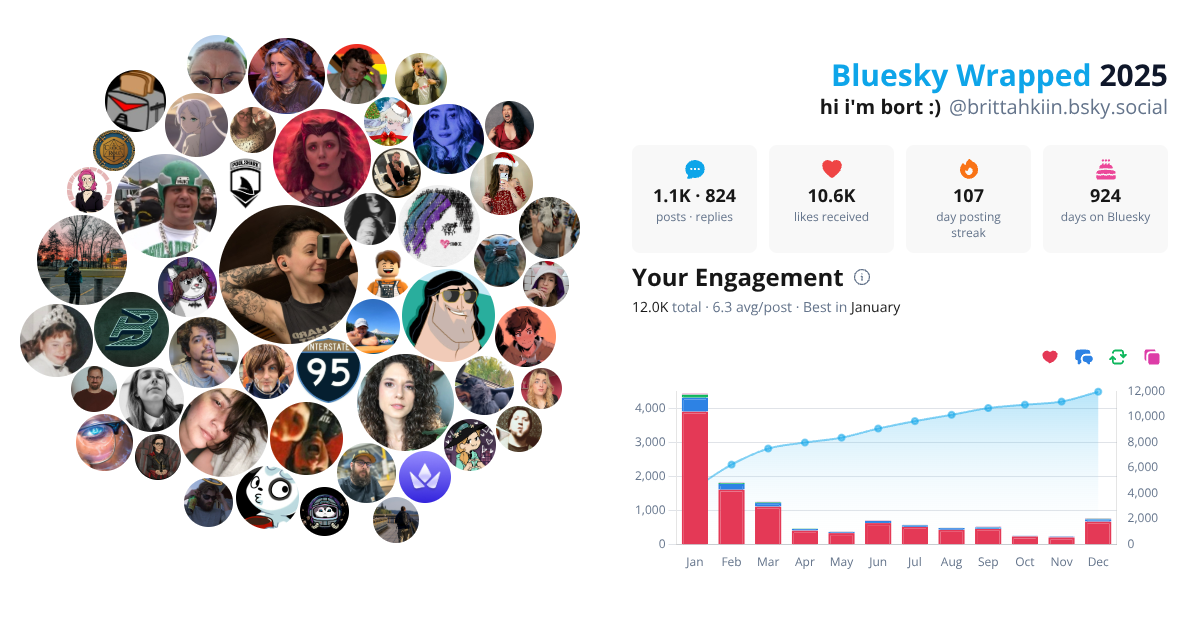 Your Bluesky Wrapped 2025 preview