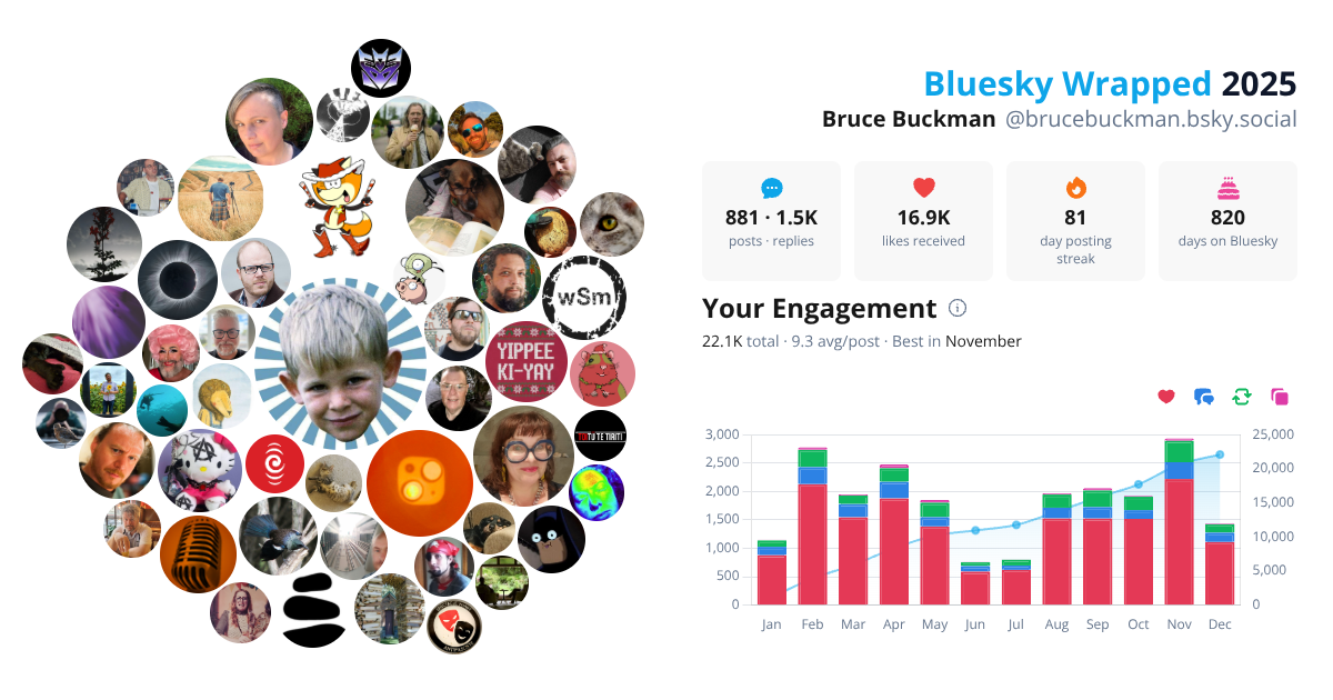 Your Bluesky Wrapped 2025 preview