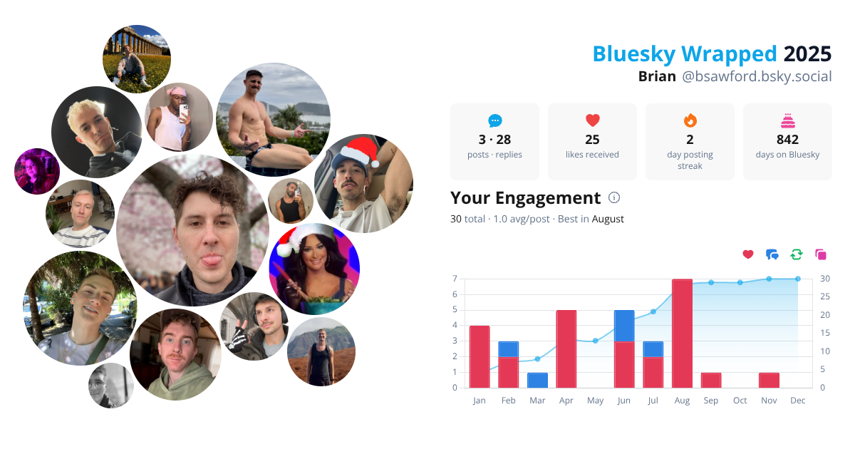 Your Bluesky Wrapped 2025 preview