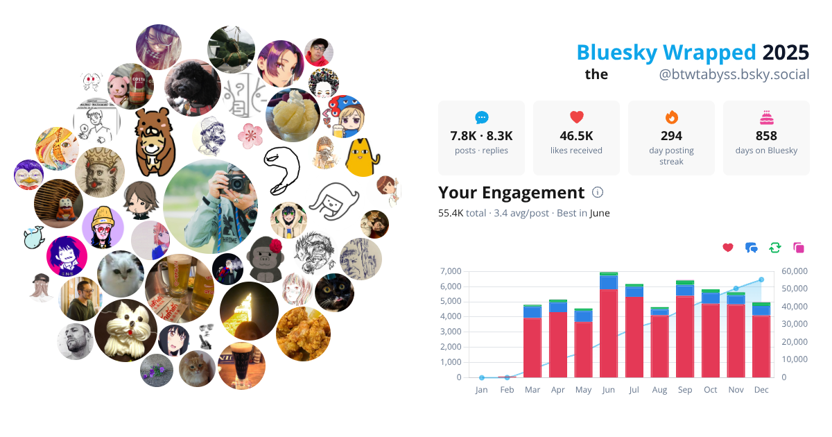 Your Bluesky Wrapped 2025 preview
