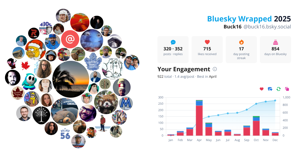 Your Bluesky Wrapped 2025 preview
