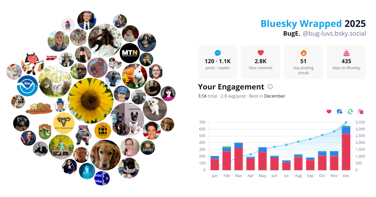 Your Bluesky Wrapped 2025 preview