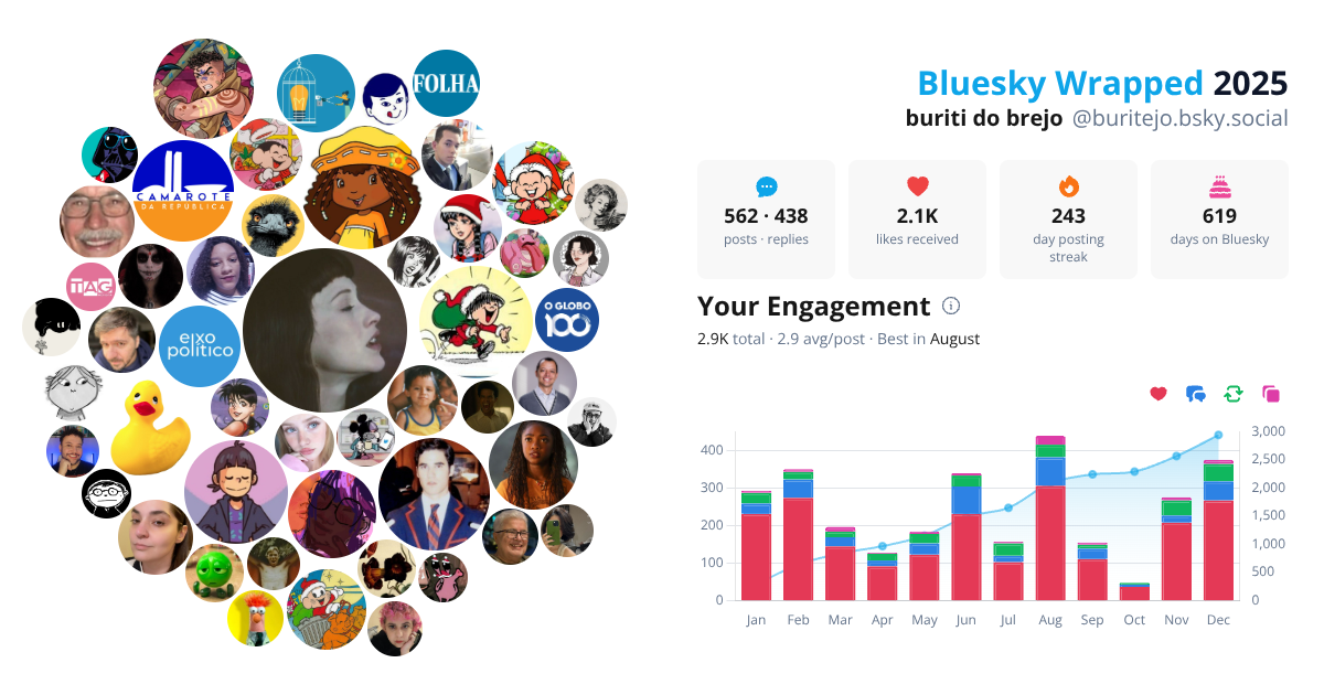 Your Bluesky Wrapped 2025 preview