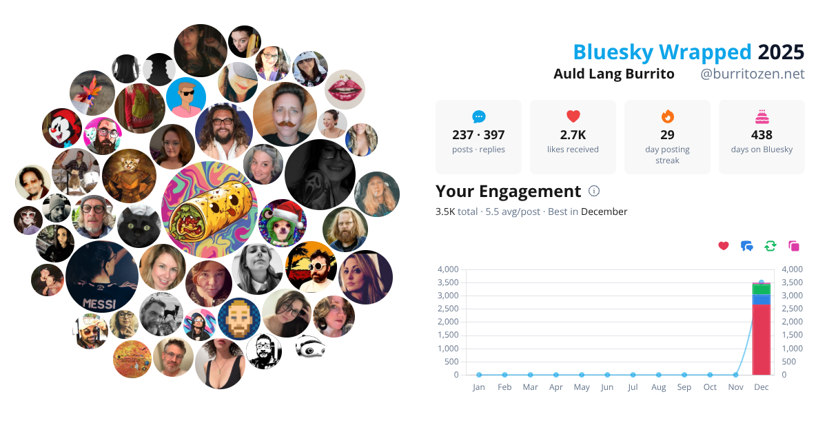 Your Bluesky Wrapped 2025 preview