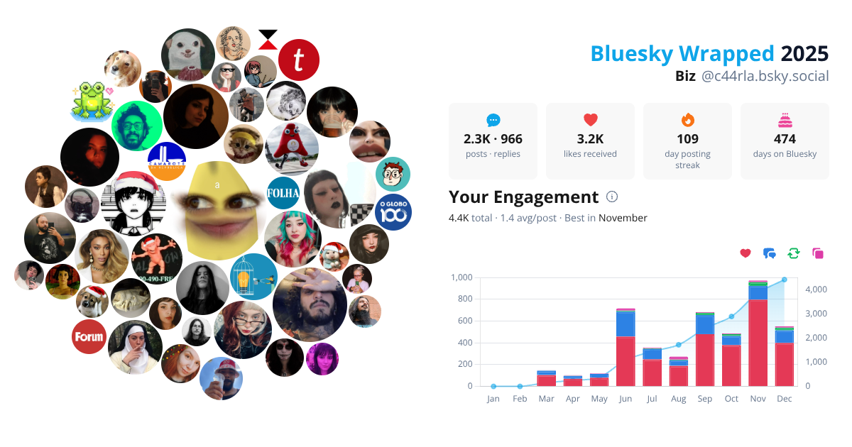 Your Bluesky Wrapped 2025 preview