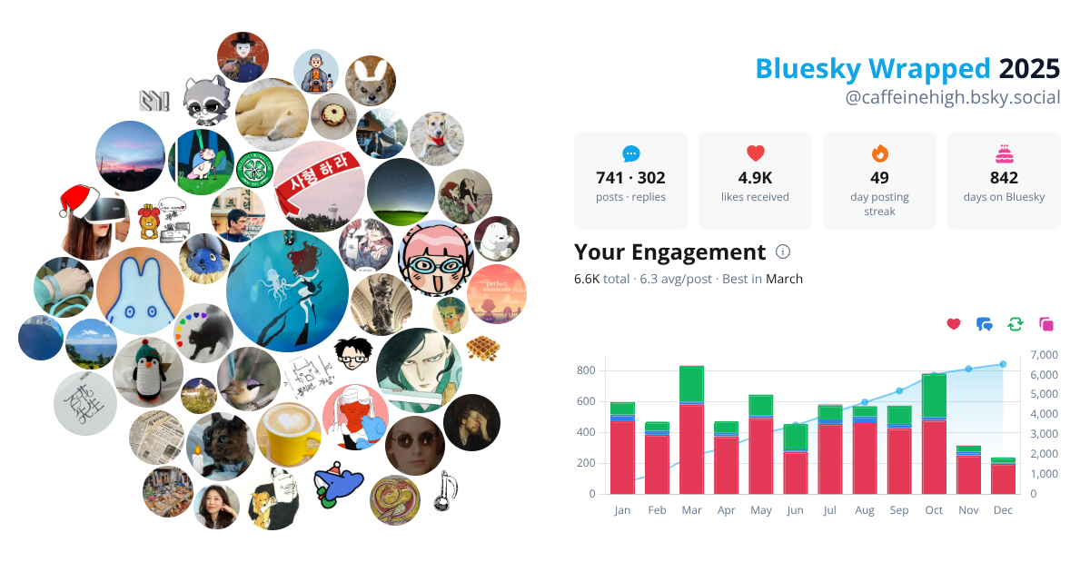 Your Bluesky Wrapped 2025 preview