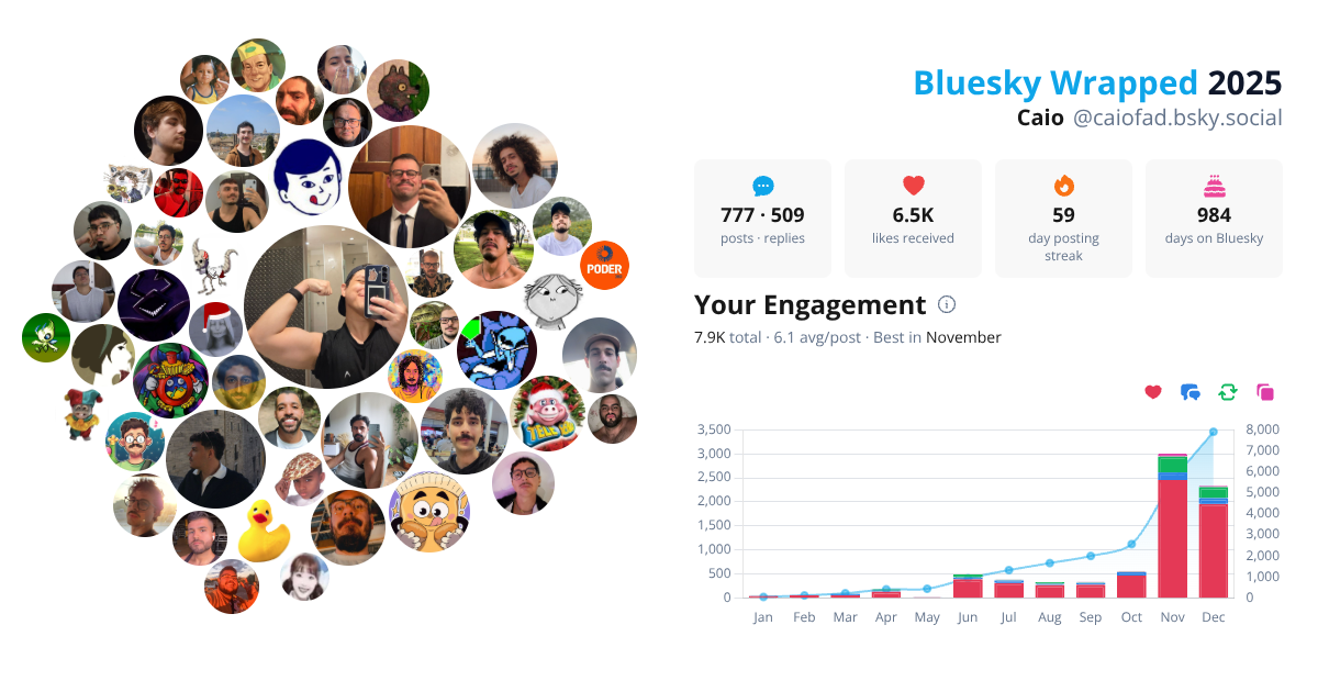 Your Bluesky Wrapped 2025 preview