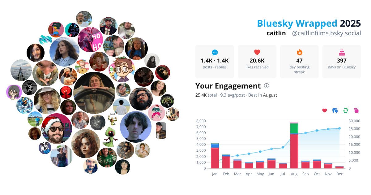 Your Bluesky Wrapped 2025 preview