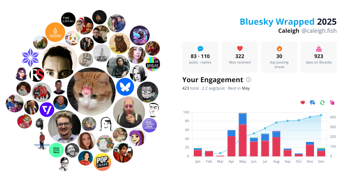 Your Bluesky Wrapped 2025 preview