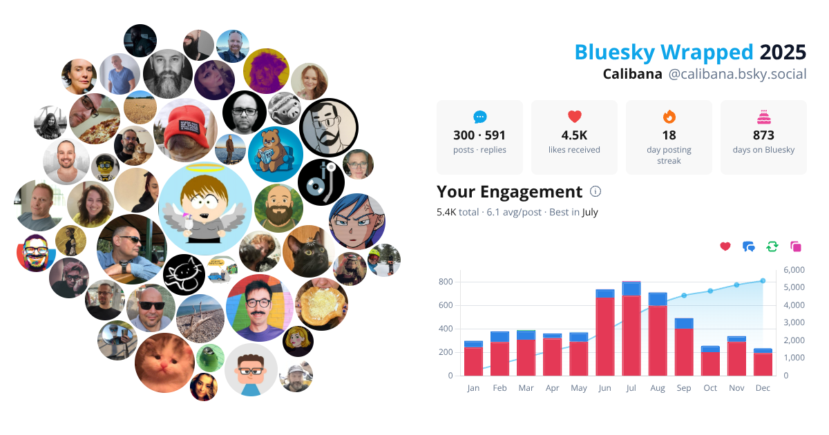 Your Bluesky Wrapped 2025 preview