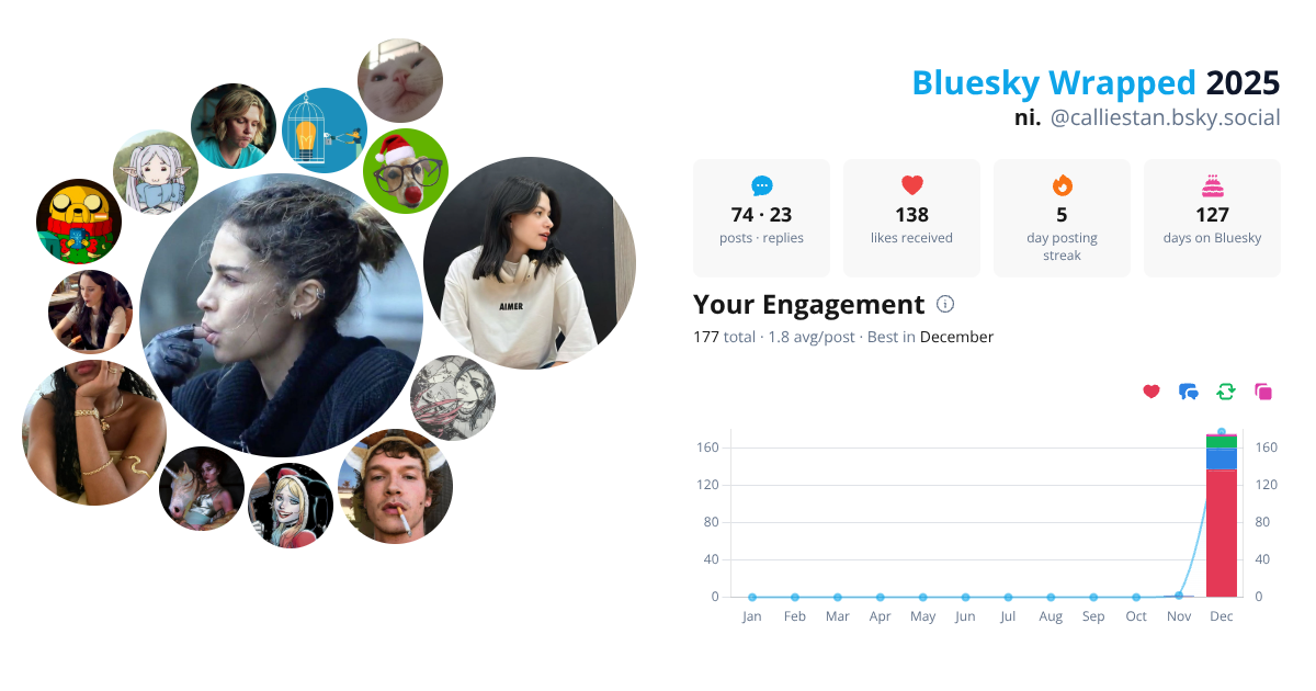 Your Bluesky Wrapped 2025 preview