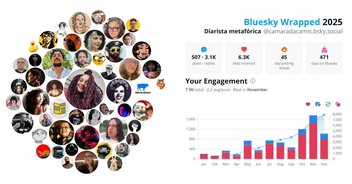 Your Bluesky Wrapped 2025 preview
