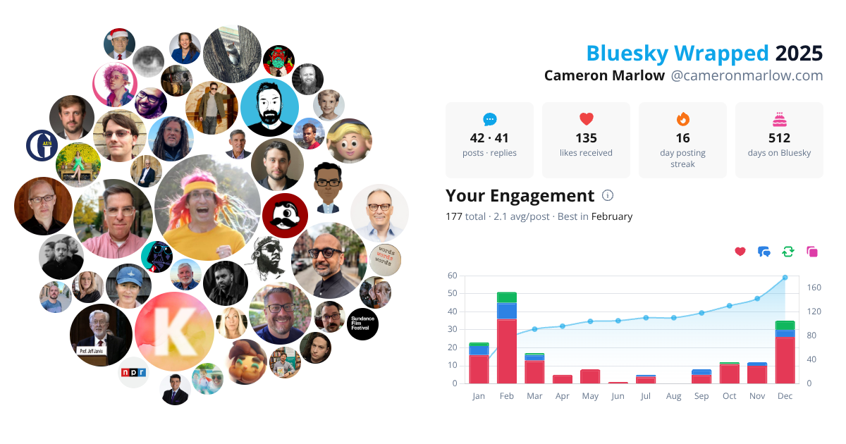 Your Bluesky Wrapped 2025 preview