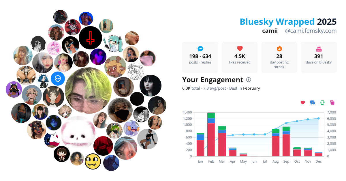 Your Bluesky Wrapped 2025 preview