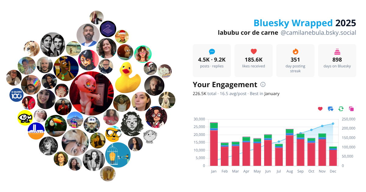 Your Bluesky Wrapped 2025 preview