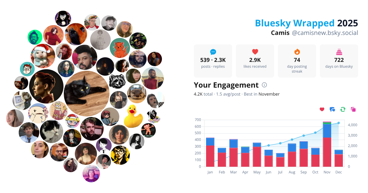 Your Bluesky Wrapped 2025 preview