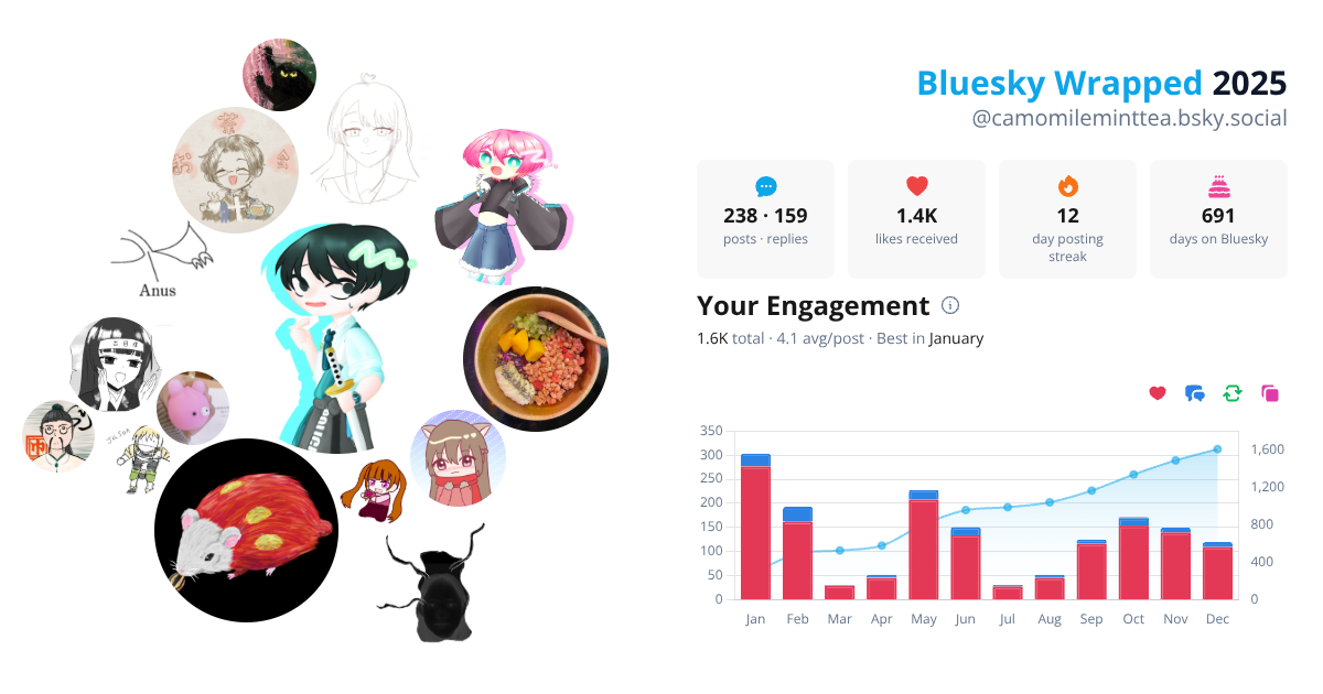 Your Bluesky Wrapped 2025 preview