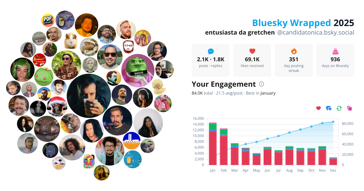 Your Bluesky Wrapped 2025 preview