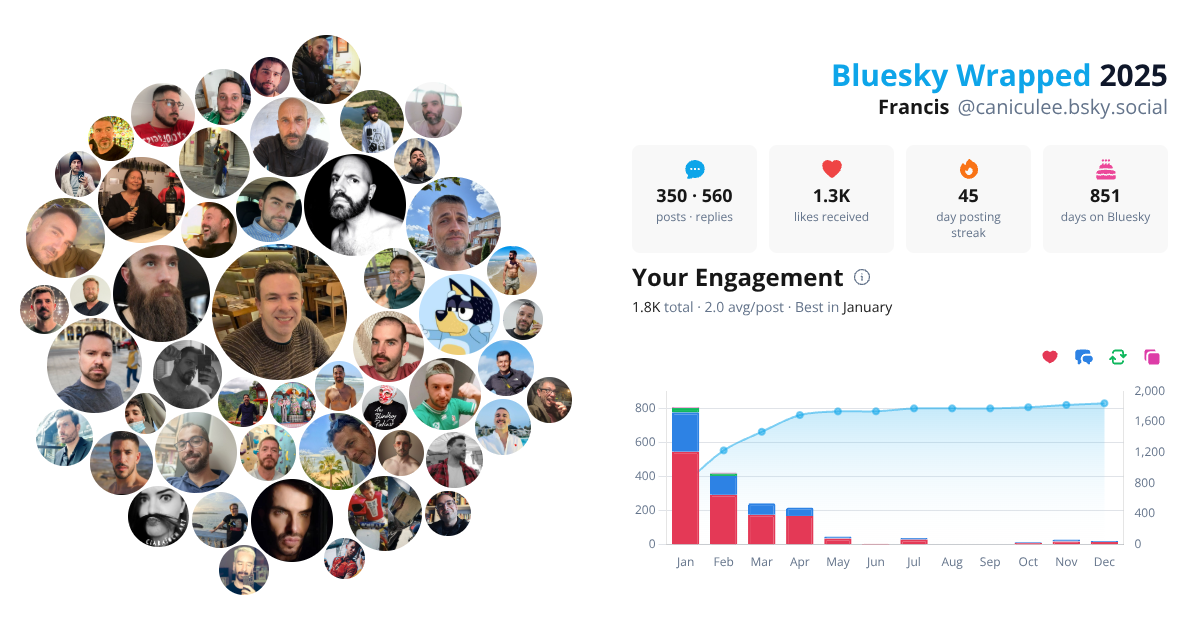 Your Bluesky Wrapped 2025 preview