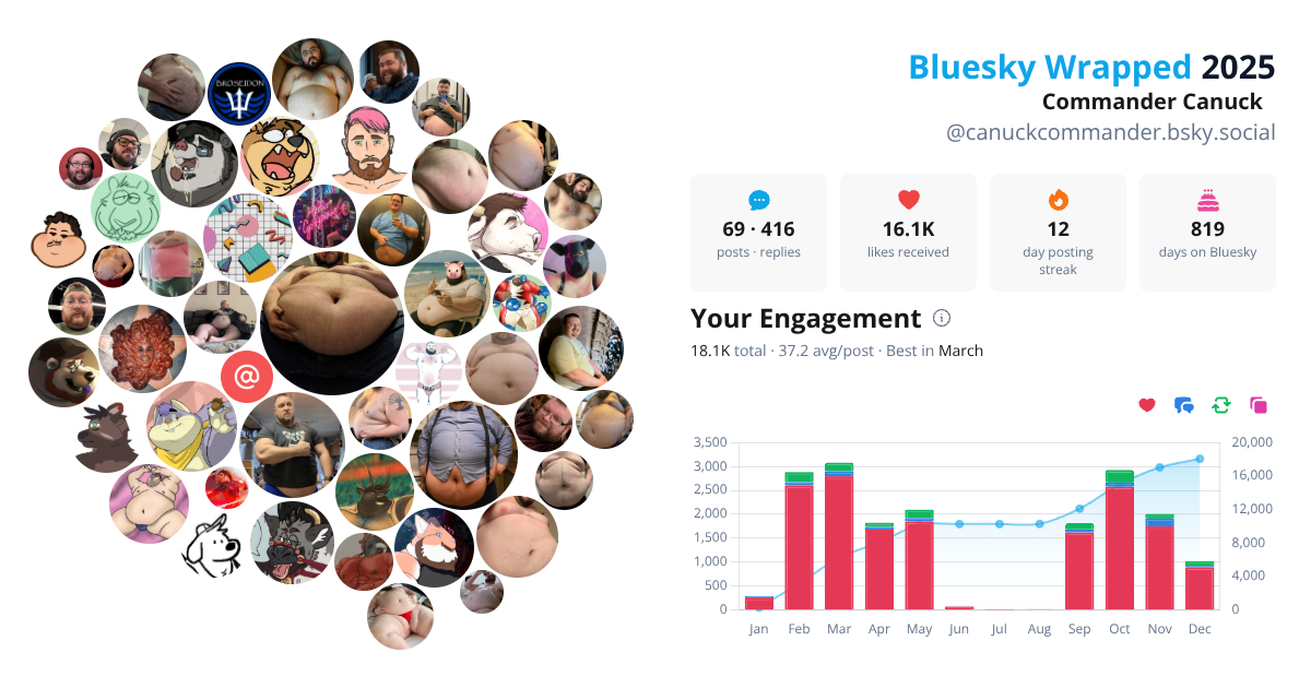 Your Bluesky Wrapped 2025 preview